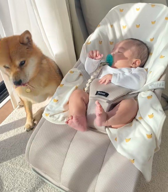 微笑ましい光景にホッコリ