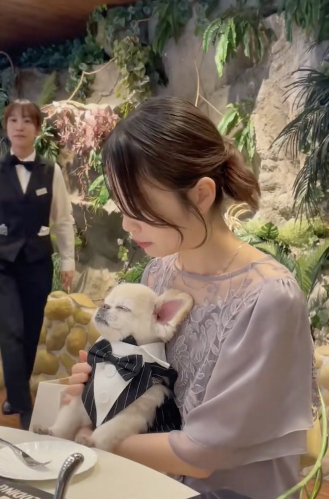 完全に目をつぶってます