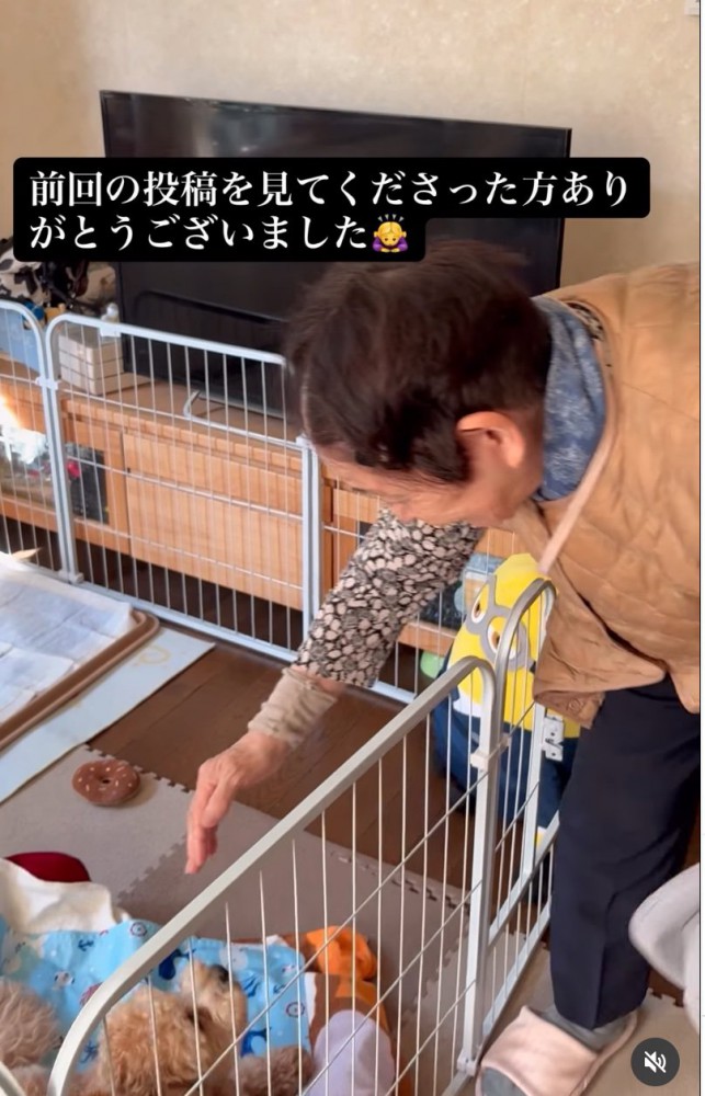 おばあちゃんとロイくん