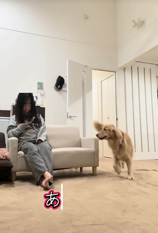 ハナコちゃんとお姉ちゃんの再会3