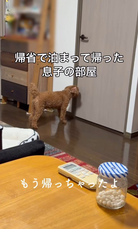 「帰っちゃったよ」と伝えても…