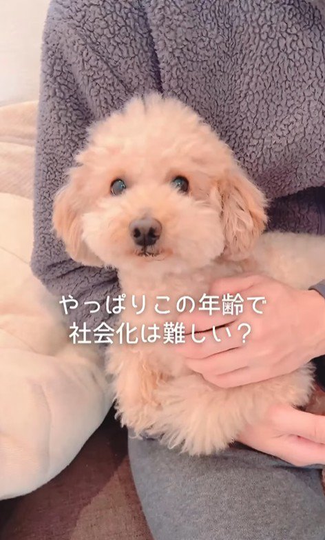 すいーぶ君の変化4