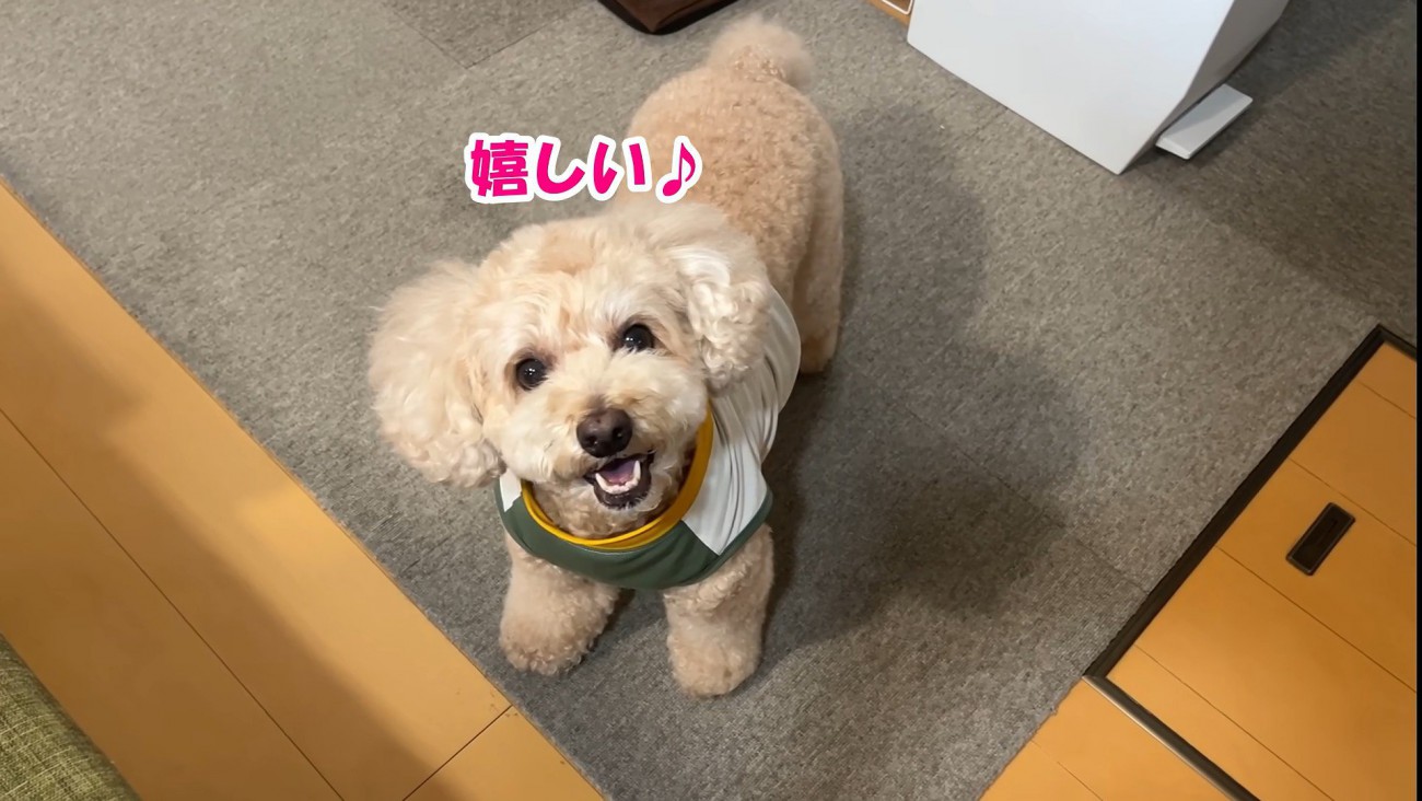 お姉ちゃんに会えると聞いてニッコリ♪