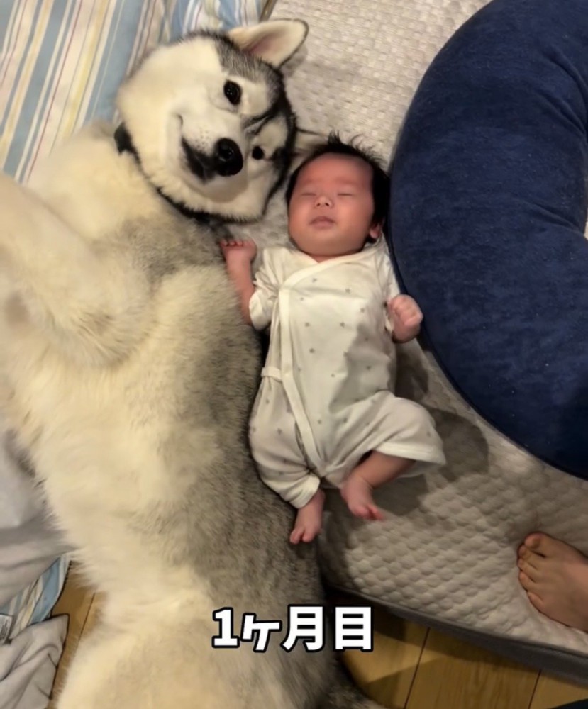 赤ちゃんの隣で寝転ぶ犬
