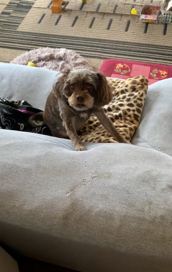 うなるペコちゃん