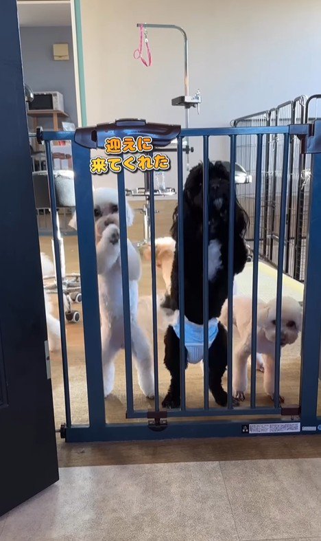 はるちゃん＆なつちゃんのお迎え5