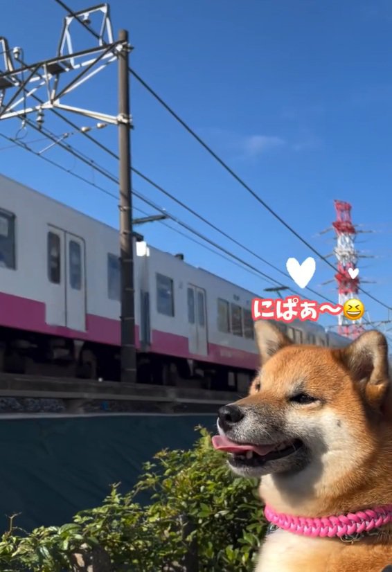 笑顔のくうちゃん