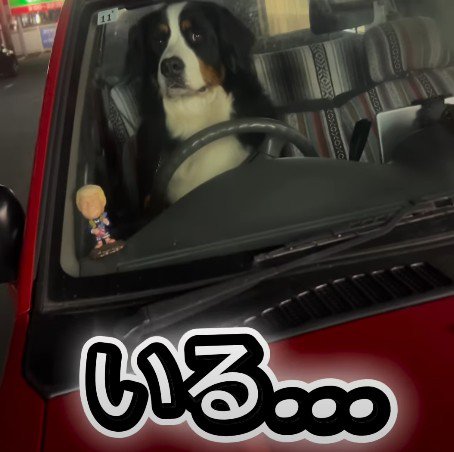 本当に運転しそう…！