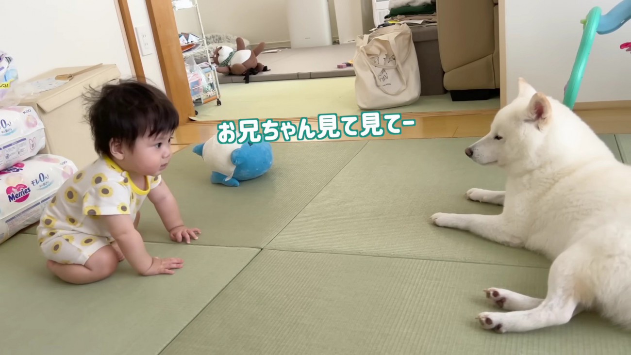 「お兄ちゃん、見てみて！」