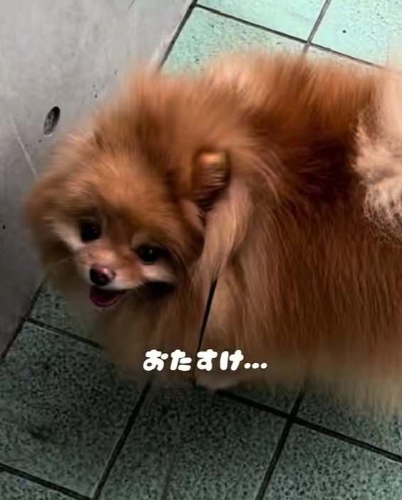 「入るわけないよね…？」