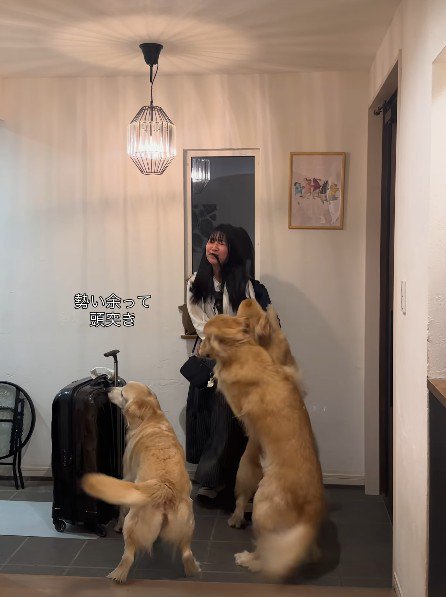 頭突きを繰り出してしまうほど♡