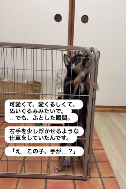 前足がおかしい？