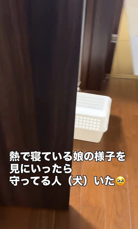 ママさんが様子を見に行ったら…
