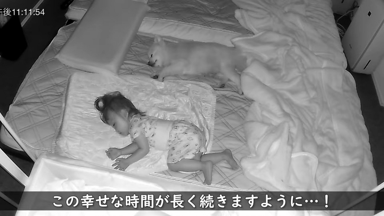 同じ寝姿ですやすや♡