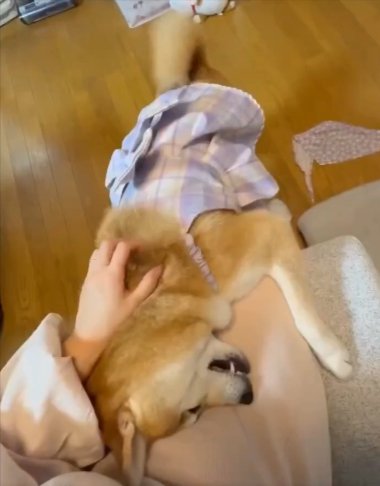 お姉ちゃん