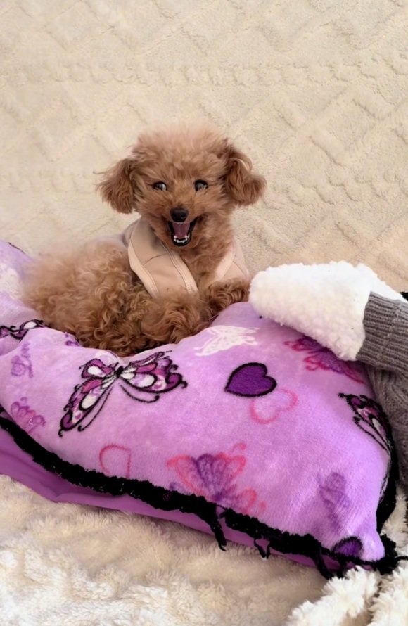 やっぱり怒るくぅちゃん