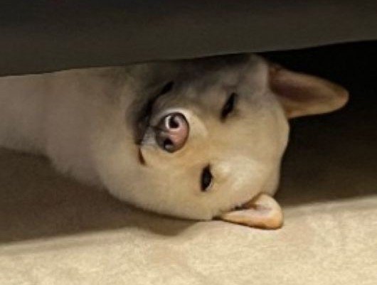 まるでホラー映画（笑）