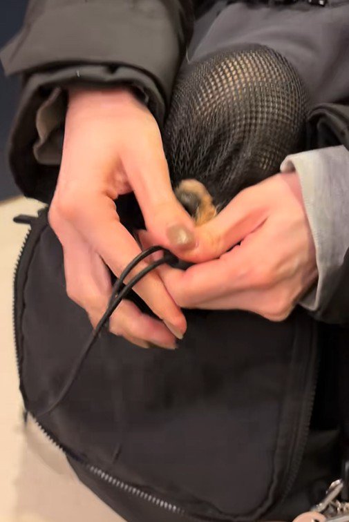 リュックに入るポテトちゃんとウニちゃん2