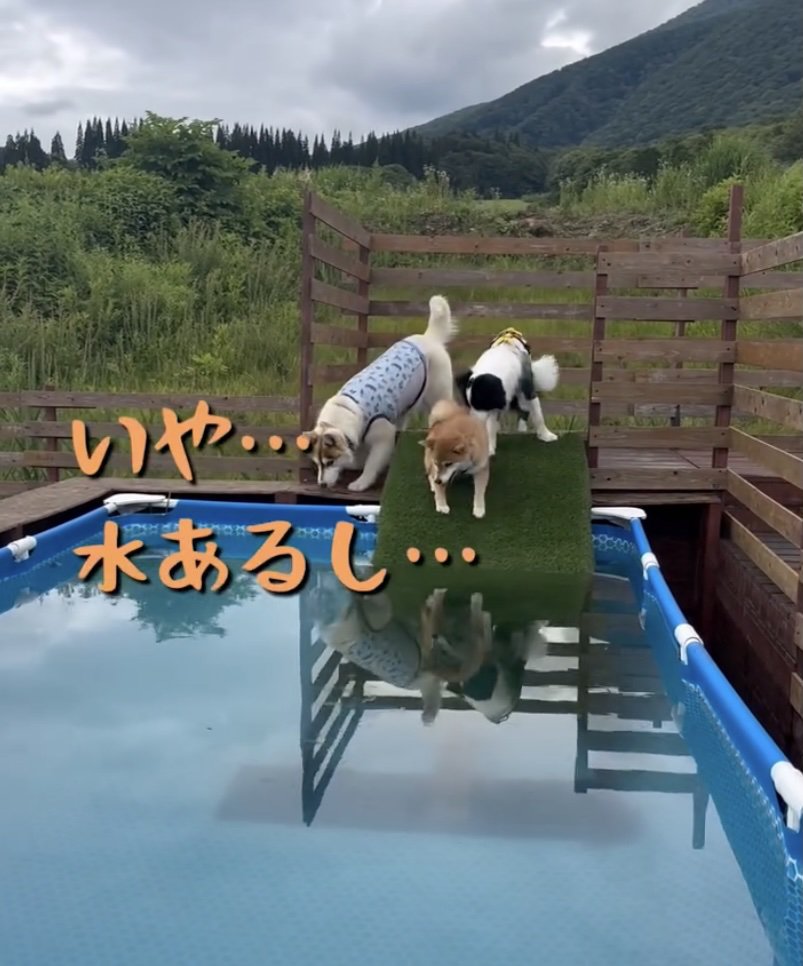 「どうしよかな…」