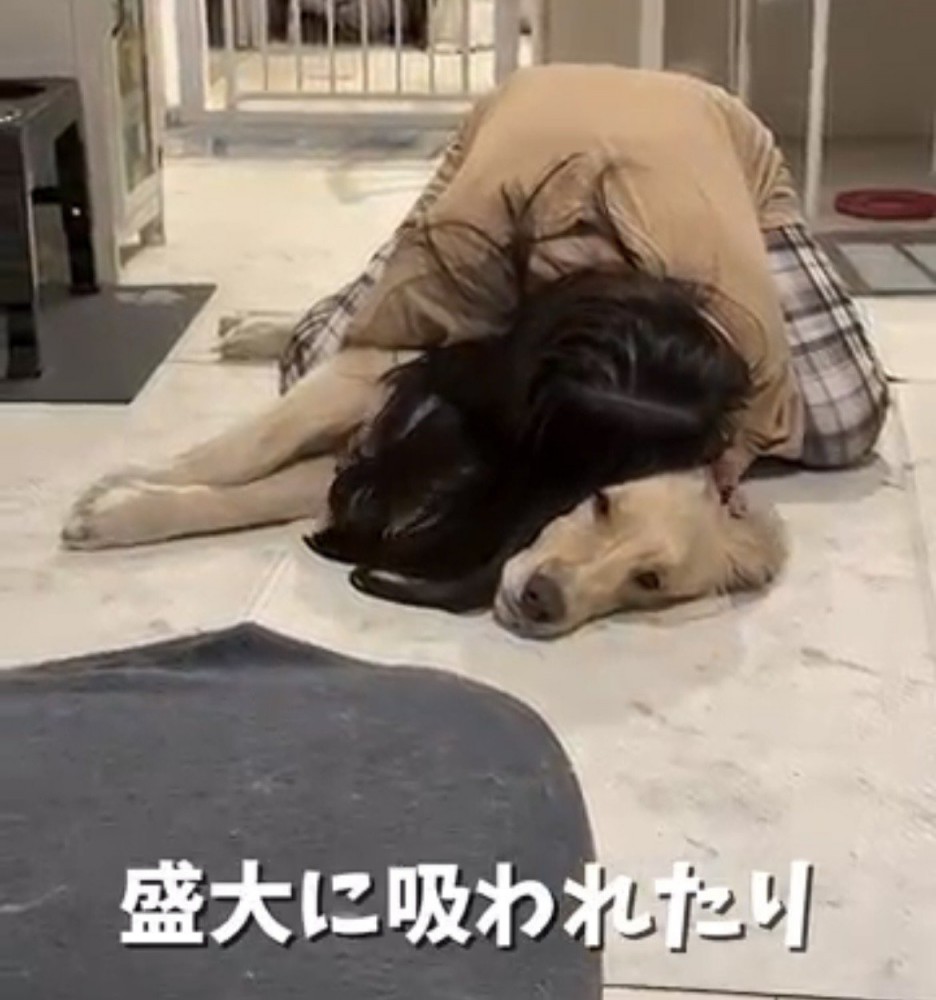 友人に首元へ顔をうずめられる麹くん