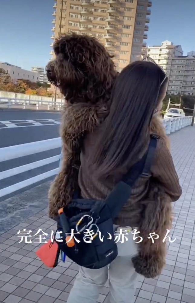 体重、ほぼ30キロ