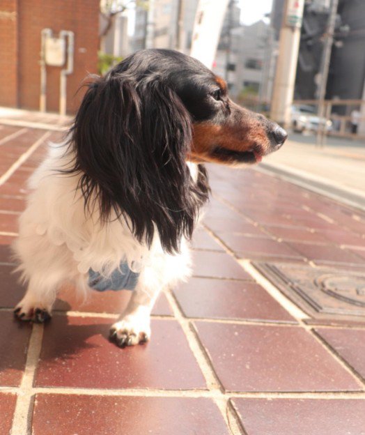 今ではとても甘えん坊