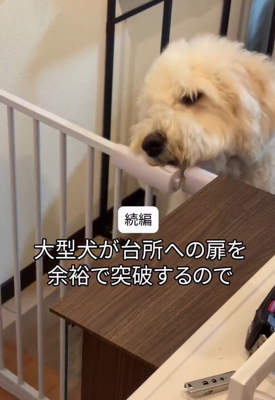 扉を開けたソラくんの続編