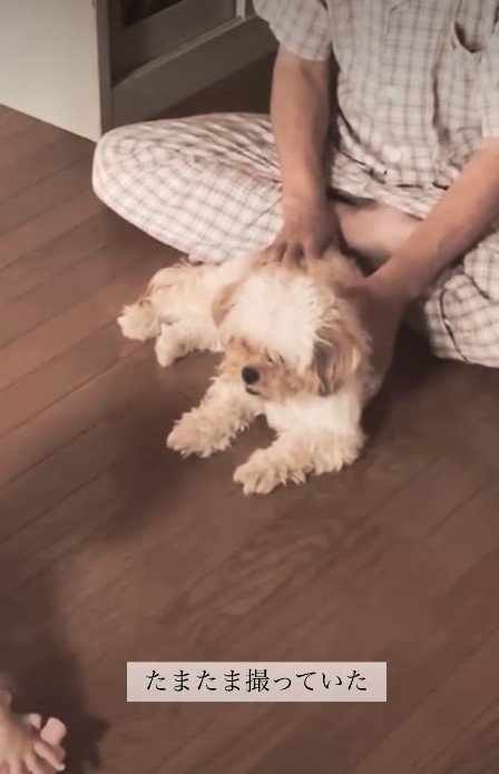亡くなる前日のふたり