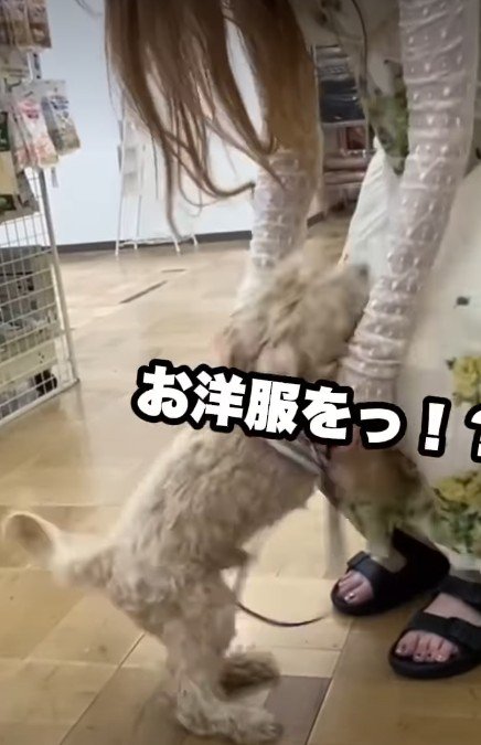 「これからよろしくね！」