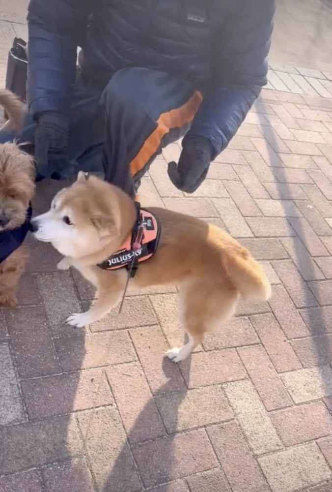 サクッとご挨拶