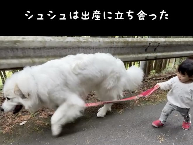 女の子に合わせてゆっくりと