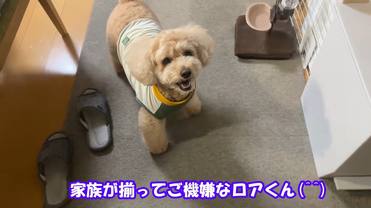 家族が揃って嬉しそう♪