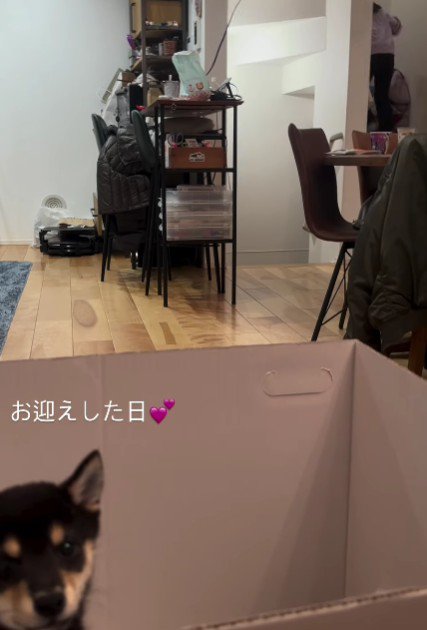 2階に駆け上がってしまった！