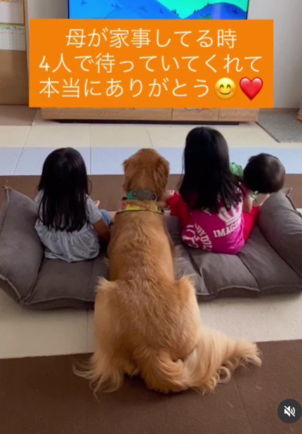 並んでテレビを見る4兄妹