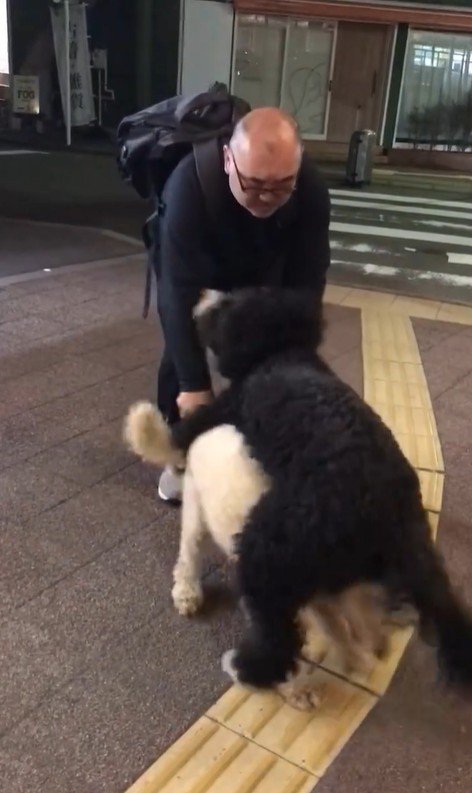 パパさんとプルミちゃん＆バニーちゃんの再会9