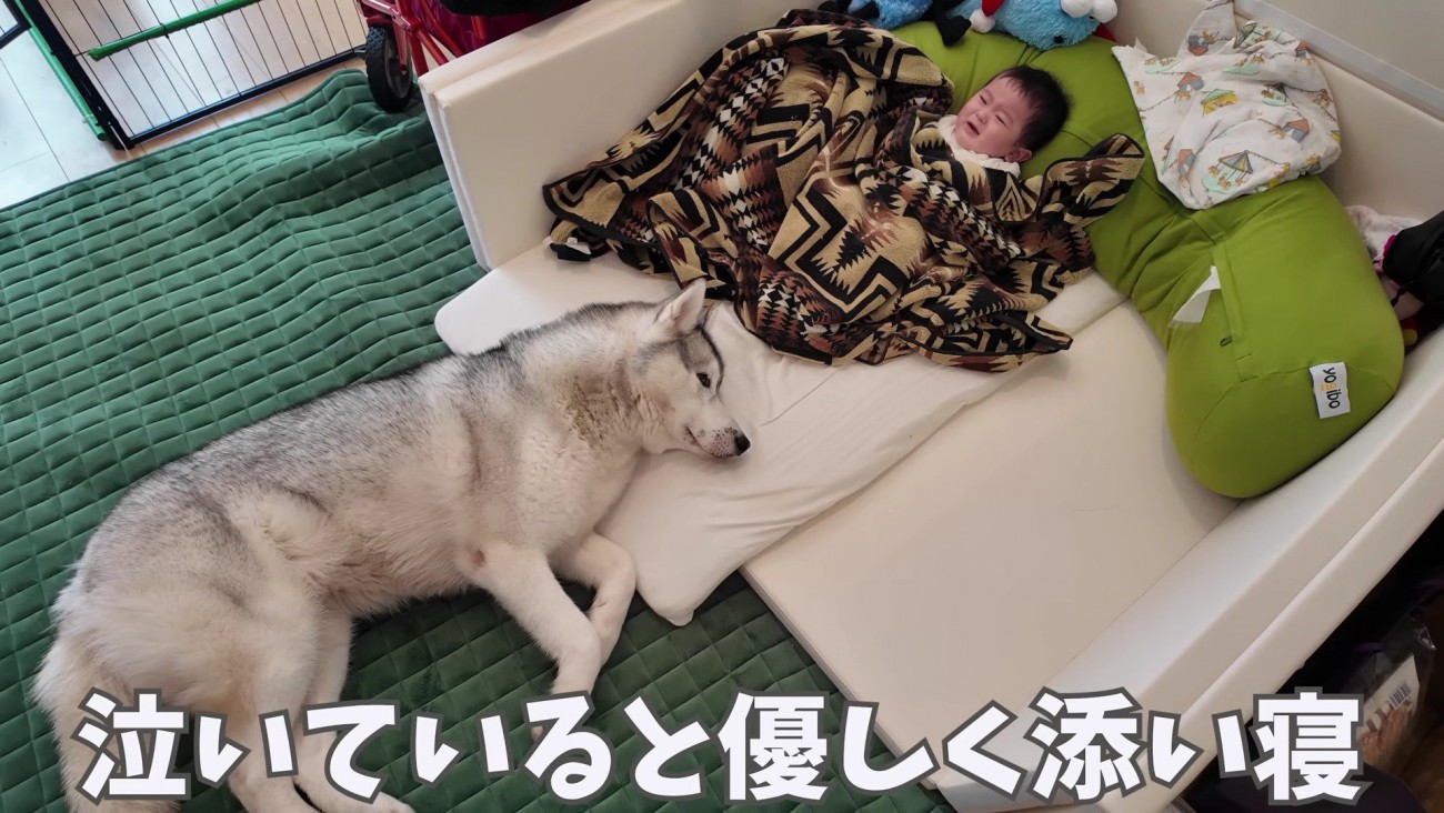 赤ちゃんが泣くとすぐに添い寝