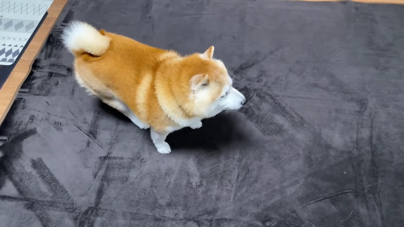 ゆっくりと腰を下ろし…