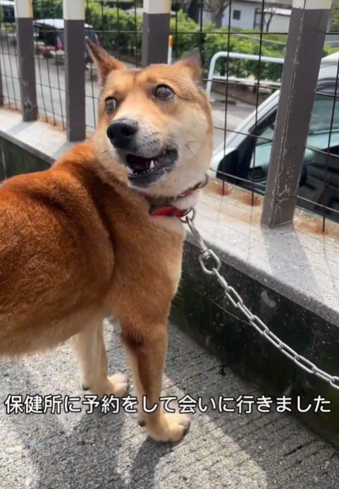 保健所に連絡をして再会