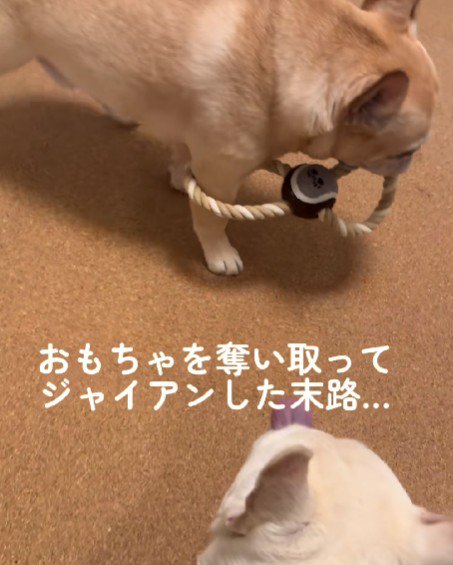 不思議な状態に