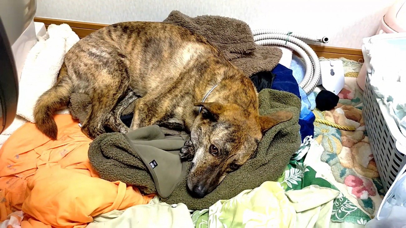 まさかの場所にいたりゅうさん6