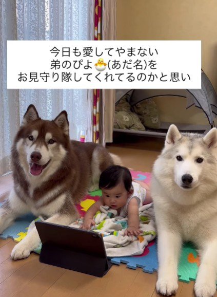 赤ちゃんは動画を視聴中♪