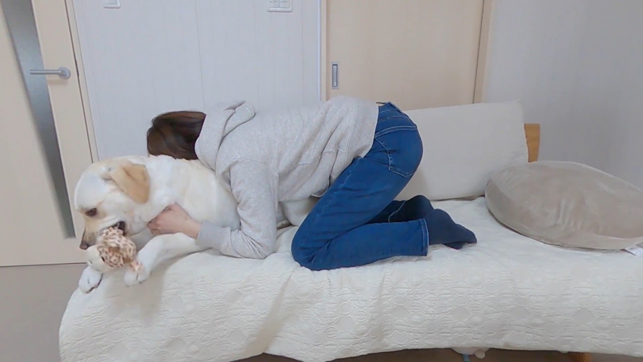 きなこちゃんとママさんの再会5