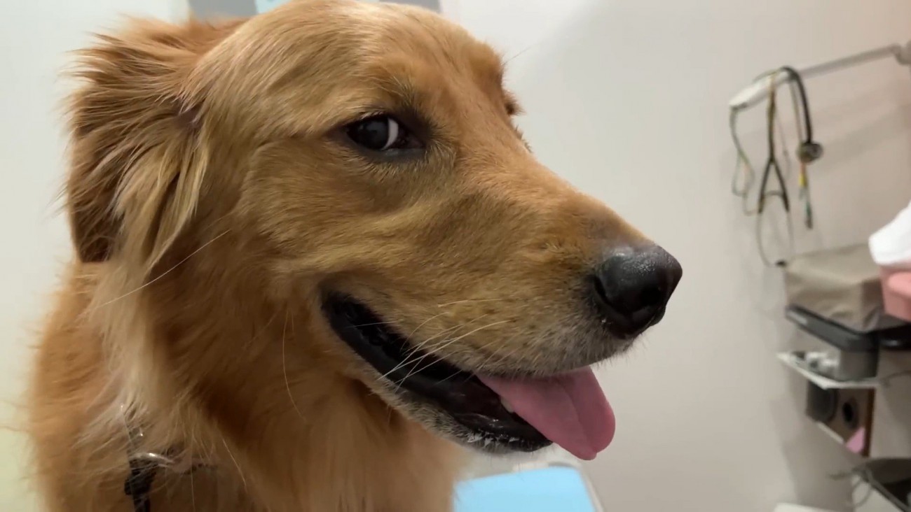 診察室でもご機嫌