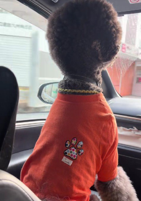 姿勢よすぎ…！！