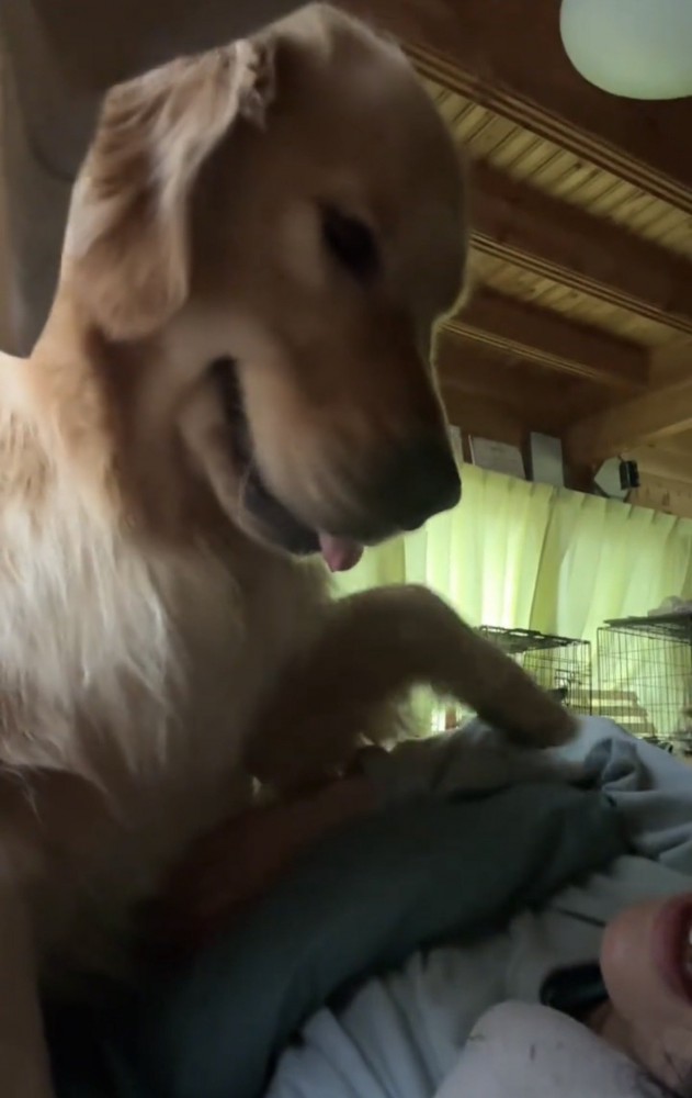 前足をかける犬