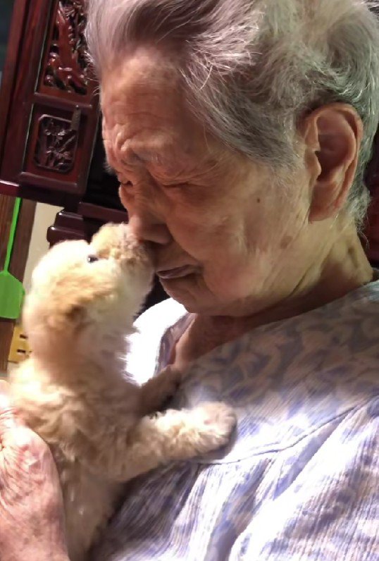 愛あふれる初対面