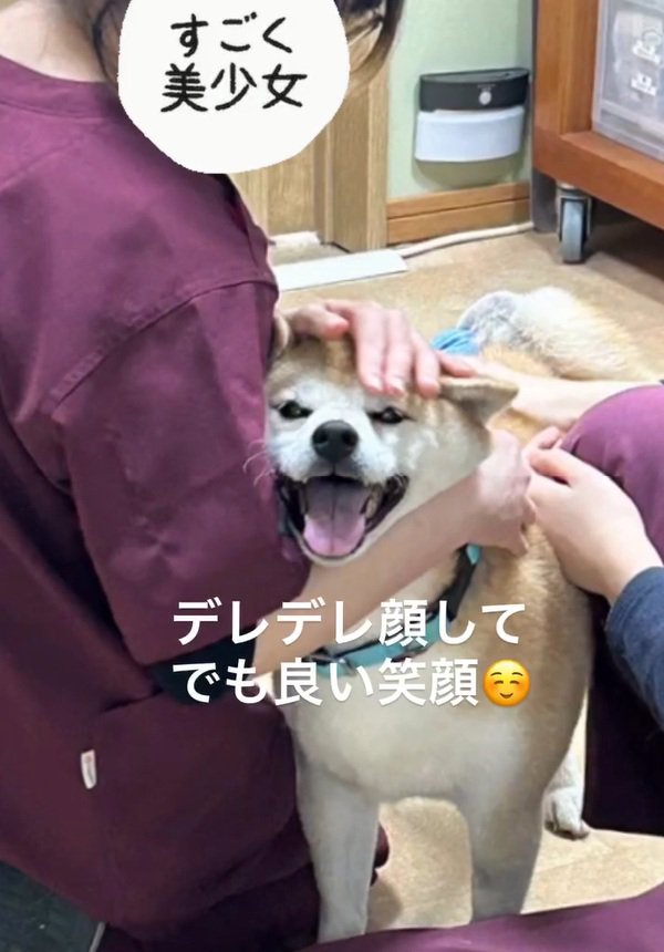 デレデレのまるちゃん