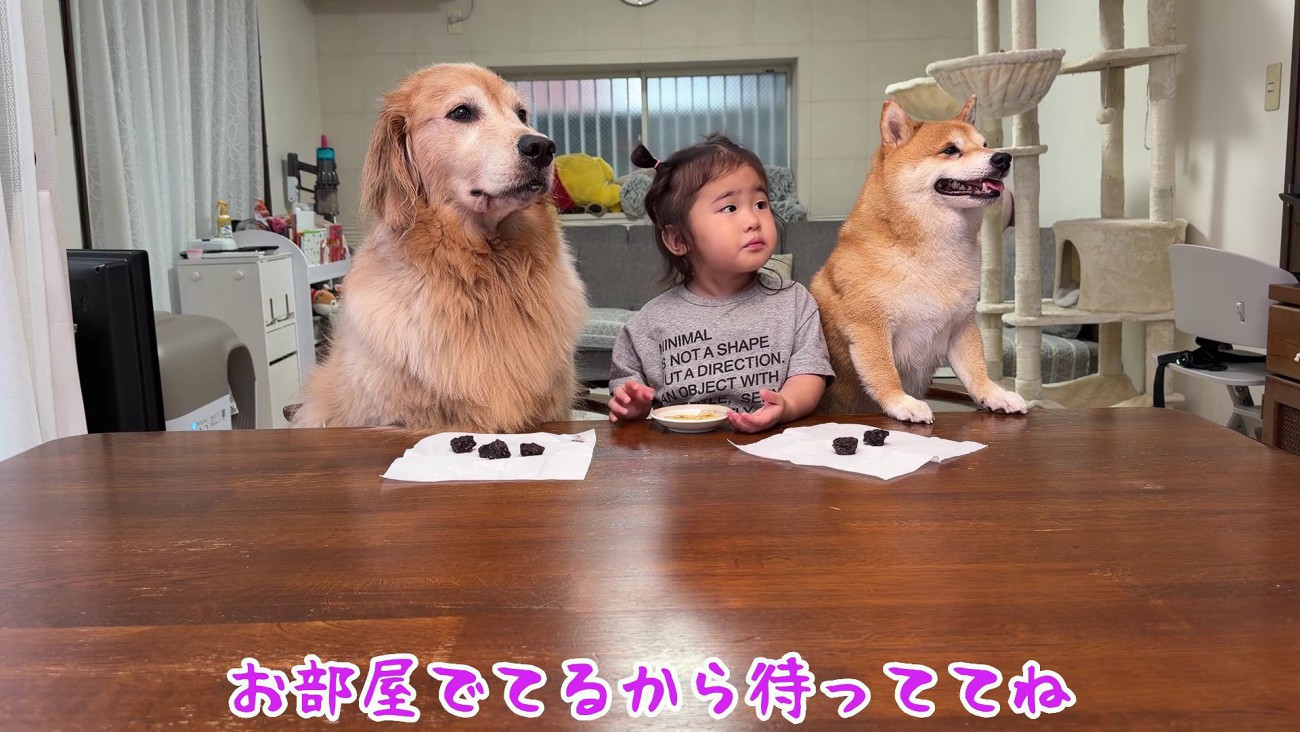 「待ってね」
