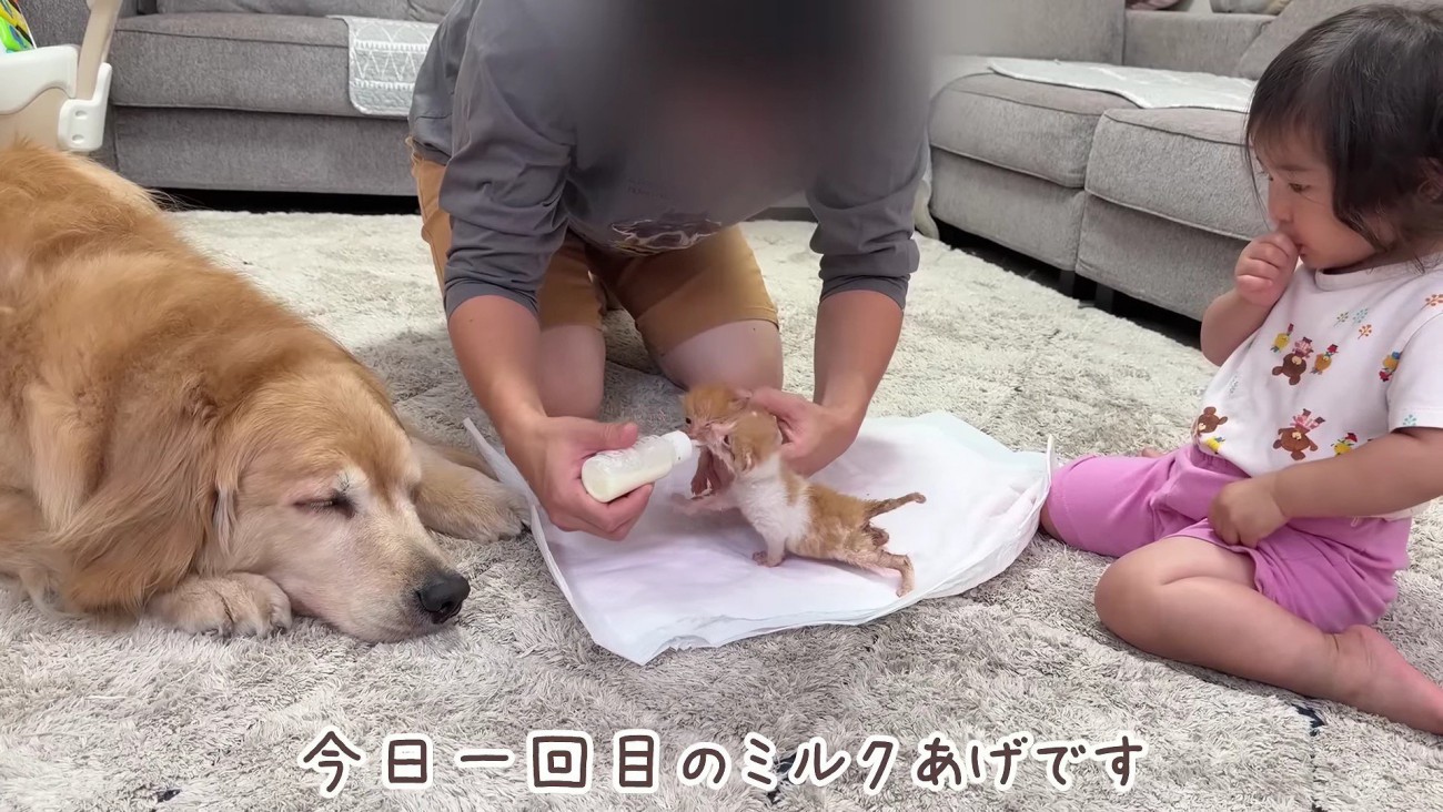 「大丈夫かな？」