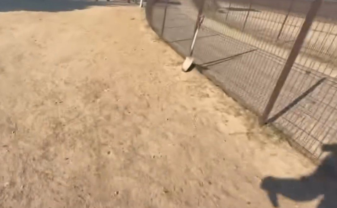 全力疾走するパパの影が…